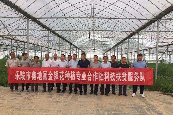 新型環(huán)剝?cè)O(shè)備，小巷中的科技新星