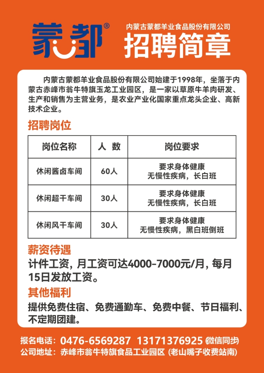 萊蕪金點(diǎn)子最新招聘信息港，科技驅(qū)動(dòng)職業(yè)夢(mèng)想，崗位觸手可及