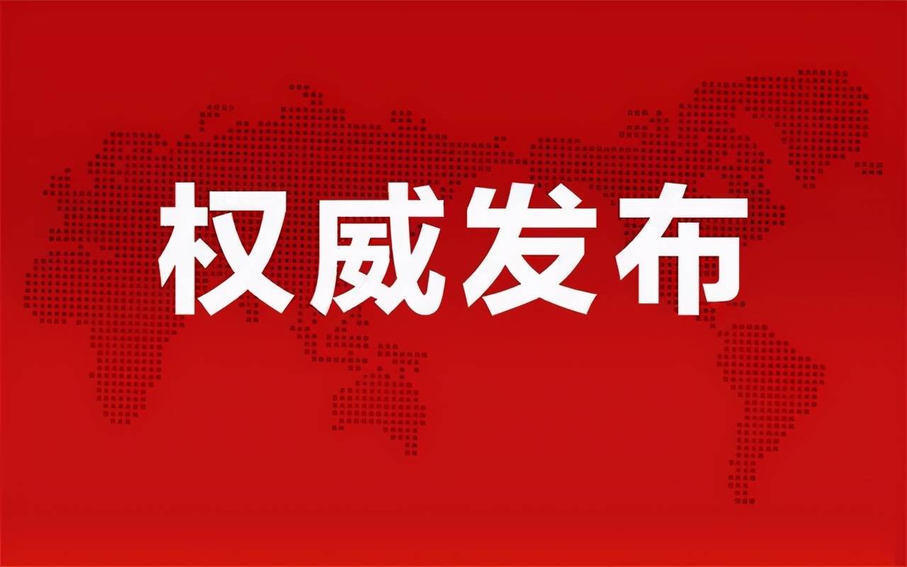 準(zhǔn)油股份秦勇最新動(dòng)態(tài)揭秘，股市之外的小日常趣事揭秘
