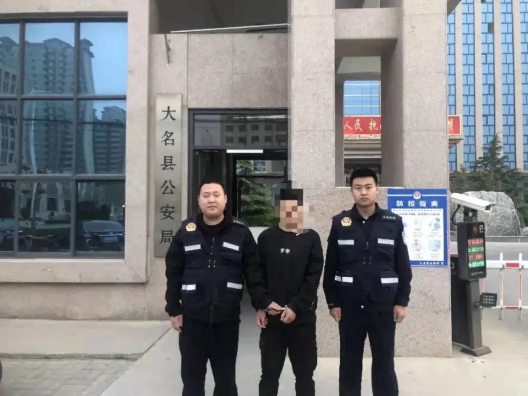 大名出租房屋最新動(dòng)態(tài)，全面指南與最新消息