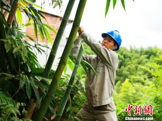 寧德臺(tái)風(fēng)最新動(dòng)態(tài)，科技智能守護(hù)安全前沿