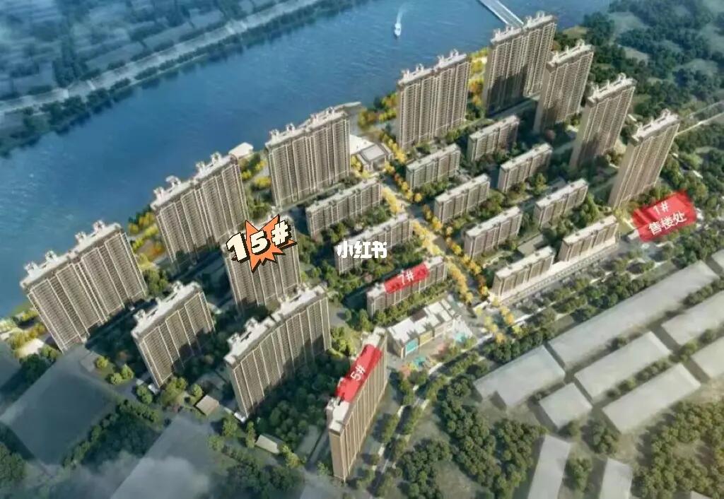 阜寧帝逸國際最新信息一覽，概覽與詳述