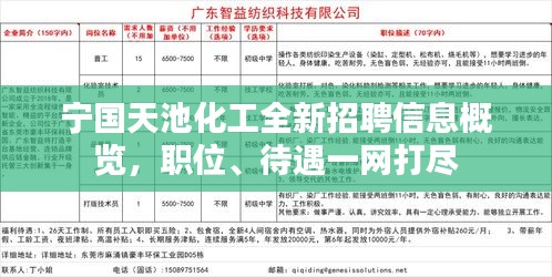 寧國白班最新招聘信息，職業(yè)繁榮與機遇在時代背景下的展現(xiàn)